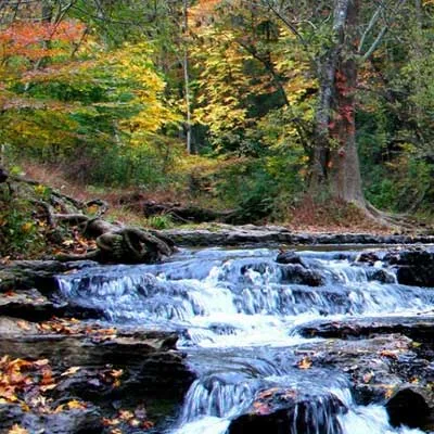 Davey Crockett State Park